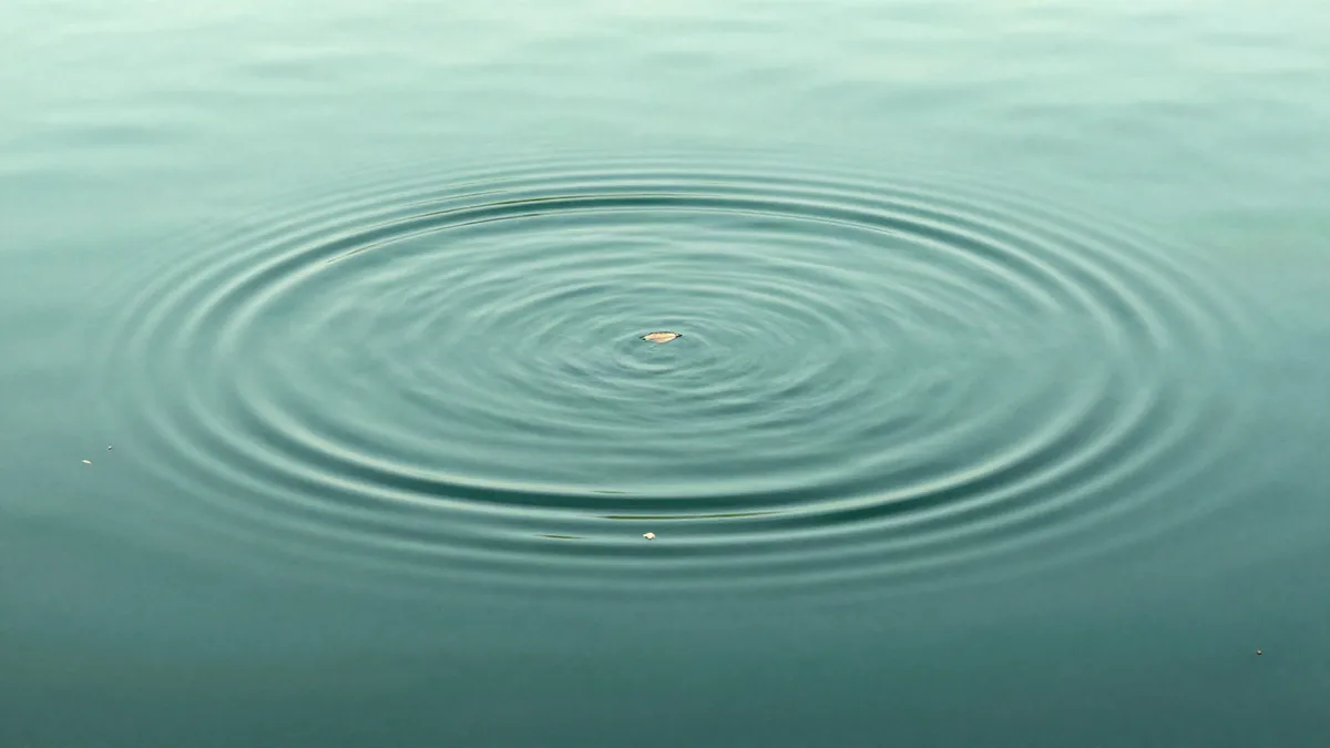 Flat illustration of concentric ripple rings still spreading across a calm green pond, with the centre of the rings empty and undisturbed